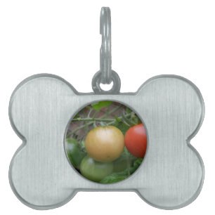 Etikett für leichte Tomaten Tiermarke