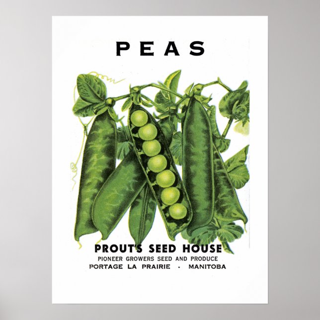 Etikett für Peas-Saatgut Poster (Vorne)
