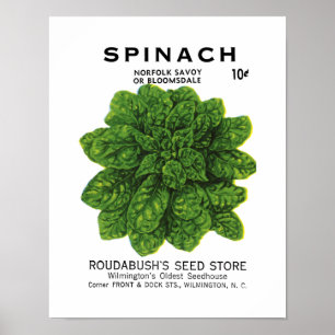 Etikett für Spinatsamenpackung Poster