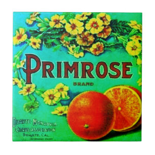 Etikett für Vintage Orangen Fliese