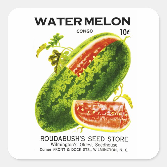 Etikett für Wassermelonen Quadratischer Aufkleber (Vorderseite)