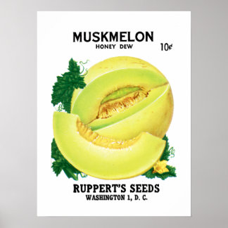 Etikett für Zuckermelonensamenpaket Poster