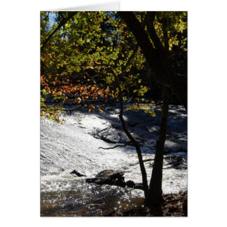 Étincelles Du Riverside