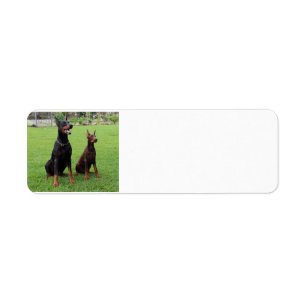 Étiquette 2 dobies.png