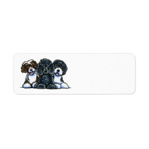 Étiquette 3 Chiens d'eau portugais