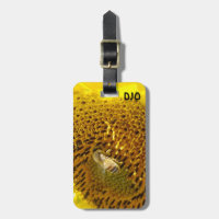 Abeille de miel sur un tournesol
