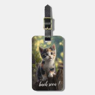 Étiquette À Bagage Adorable Calico Kitten
