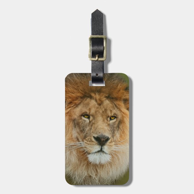 Étiquette À Bagage Afrique du Sud Majestic Lion Fermer (Devant Vertical)