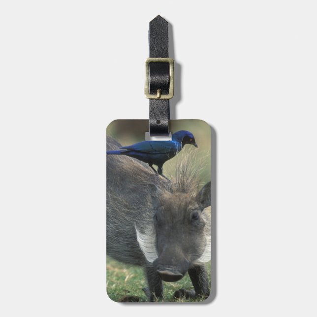 Étiquette À Bagage Afrique du Sud, Pilanesburg GR, Warthog (Devant Vertical)