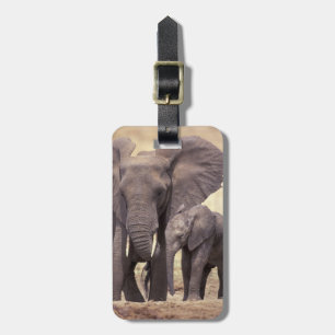 Étiquette À Bagage Afrique, Tanzanie, Parc national de Tarangire. 2