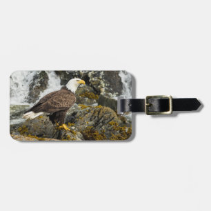 Étiquette À Bagage Aigle à tête blanche