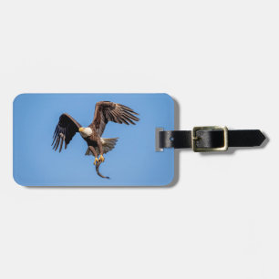 Étiquette À Bagage Aigle Bald avec un poisson