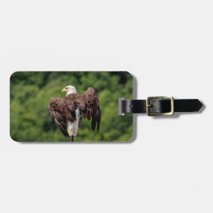Étiquette À Bagage Aigle de Bald sur une branche