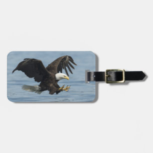 Étiquette À Bagage Aigle en approche