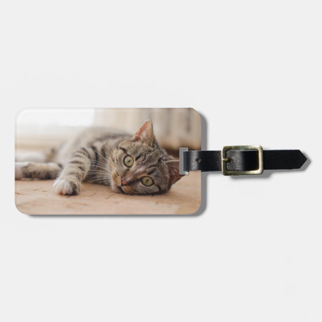 Étiquette À Bagage Ajouter votre propre animal de compagnie chat Phot (Devant horizontal)