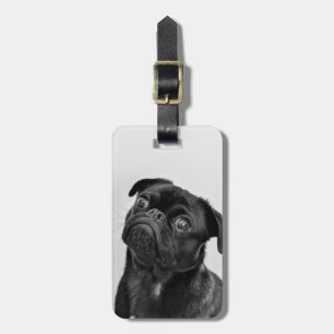 Étiquette À Bagage Ajouter votre propre voyage photo chien   carlin d