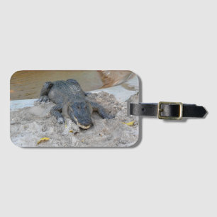 Étiquette À Bagage Alligator, Fort Lauderdale, Floride