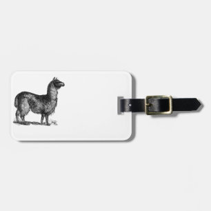 Étiquette À Bagage Alpaca Llama Cute Pérou Animal Nature Art