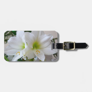 Étiquette À Bagage Amaryllis blanc et sapin de Noël