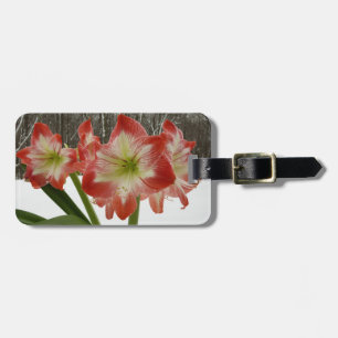 Étiquette À Bagage Amaryllis en Fête Rouge Neige Hiver Floral