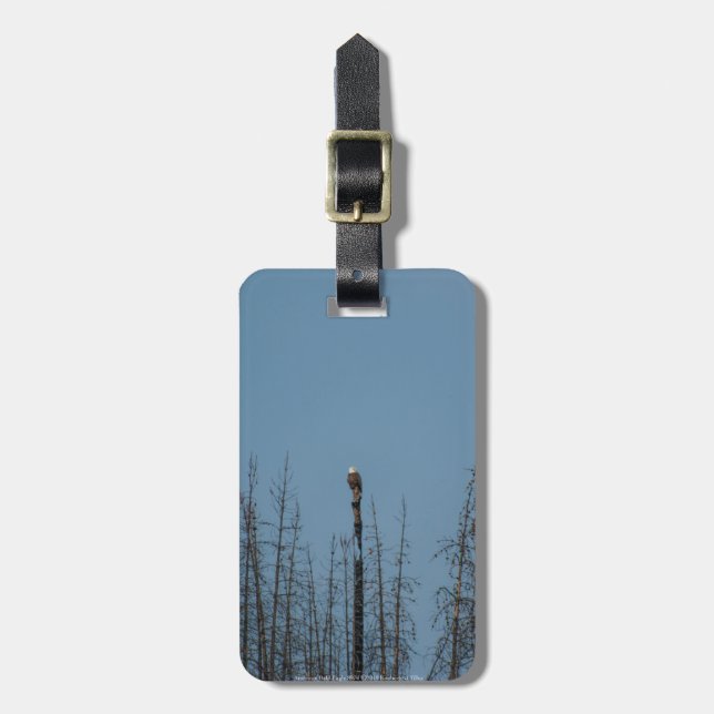 Étiquette À Bagage American Bald Eagle 8974 (Devant Vertical)