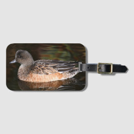 Étiquette À Bagage American Wigeon Wildlife Photo