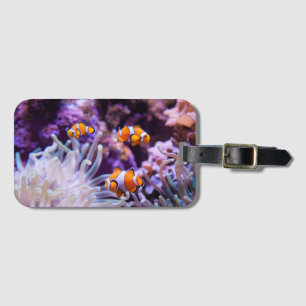 Étiquette À Bagage Amphiprion Ocellaris d'Ocellaris Clownfish