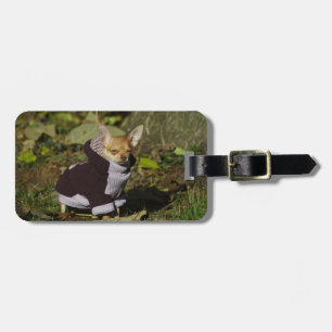 Étiquette À Bagage Amusant élégant habillé Chihuahua Chiuppy