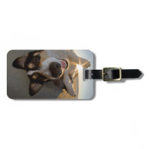 Amusement avec le Sun