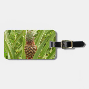 Étiquette À Bagage Ananas sauvage Fruit tropical dans la nature