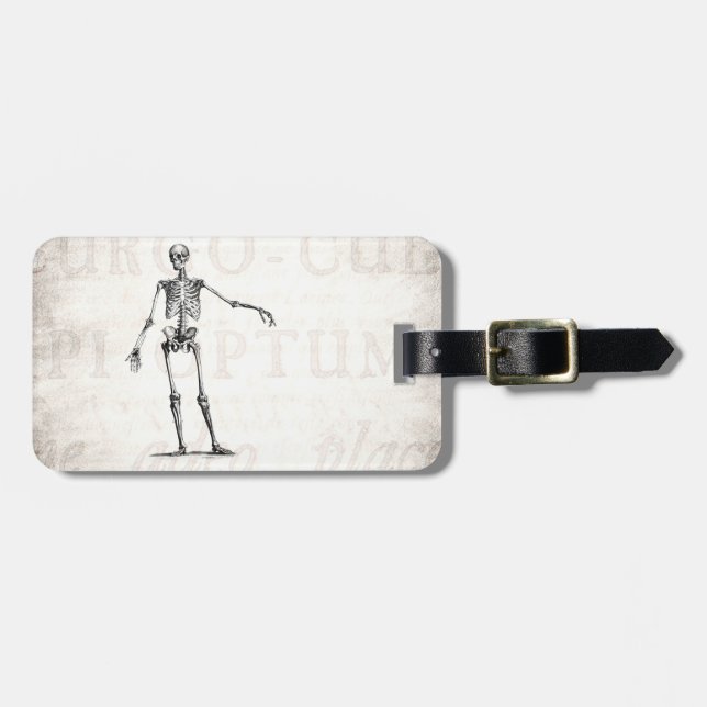 Étiquette À Bagage Anatomie squelettique de squelettes de 1800s (Devant horizontal)