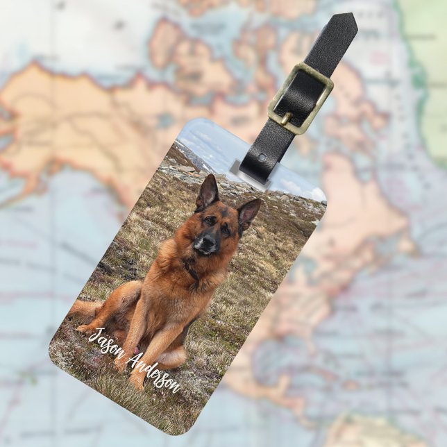 Étiquette À Bagage animal de compagnie de photo personnalisé (Créateur téléchargé)