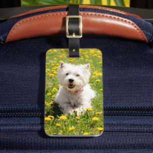 Étiquette À Bagage Animaux de bébés cutest   Chien Westin en Dandelio