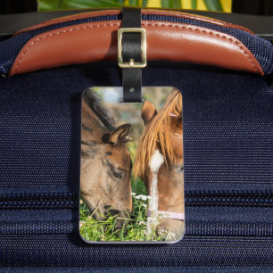 Étiquette À Bagage Animaux de bébés cutest Colt à cheval
