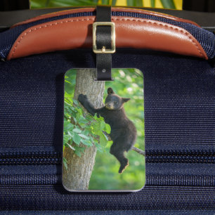 Étiquette À Bagage Animaux de bébés cutest   Cube d'ours noir