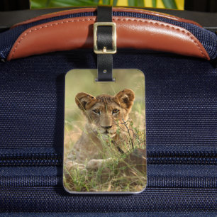 Étiquette À Bagage Animaux de bébés cutest   Cute Baby Lion Cub