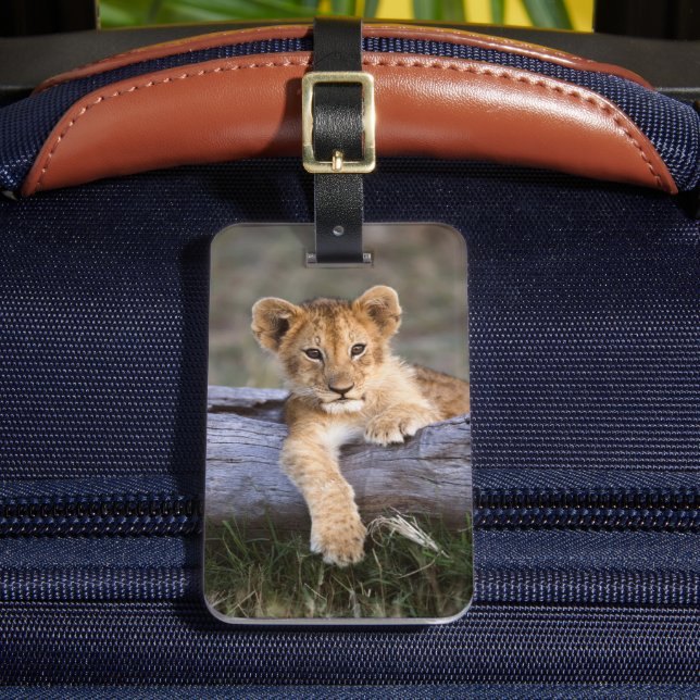 Étiquette À Bagage Animaux de bébés cutest | Cute Lion Cub (Insitu Rectoal 2)