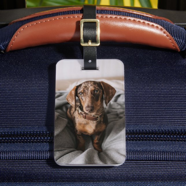 Étiquette À Bagage Animaux de bébés cutest | Dachshund Dachshund Dach (Insitu Rectoal 2)