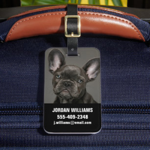 Étiquette À Bagage Animaux de bébés cutest   French Bulldog