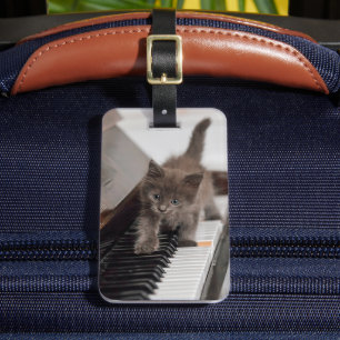 Étiquette À Bagage Animaux de bébés cutest   Kitten sur piano