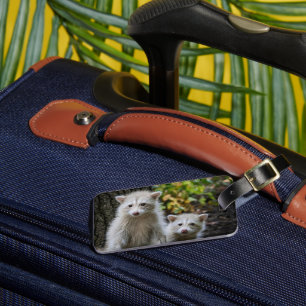 Étiquette À Bagage Animaux de bébés cutest Raccoons jeunes blonds