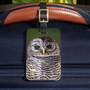 Étiquette À Bagage Animaux de bébés cutest   Tawny Owl