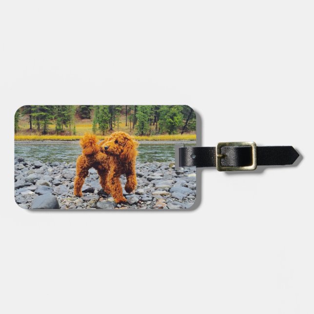 Étiquette À Bagage Apricot Poodle - Cadeau Personnalisable (Devant horizontal)