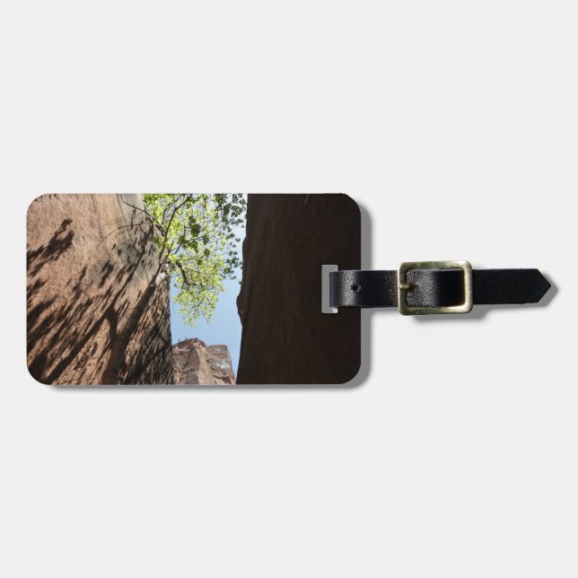 Étiquette À Bagage Arbre qui pousse entre les rochers dans le parc na (Devant horizontal)