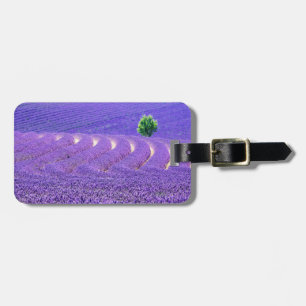 Étiquette À Bagage Arbre solitaire à Lavender Field, France