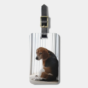 Étiquette À Bagage Attitude beagle