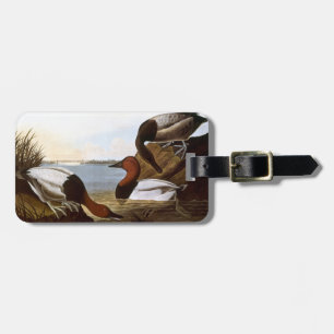 Étiquette À Bagage Audubon : Canvasback