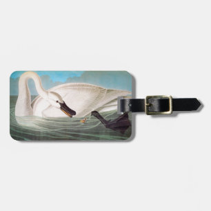 Étiquette À Bagage Audubon : Cygne de trompettiste