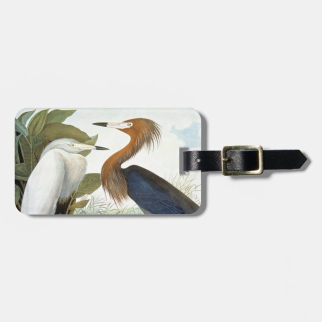 Étiquette À Bagage Audubon : Héron rougeâtre ou héron pourpre (Devant horizontal)