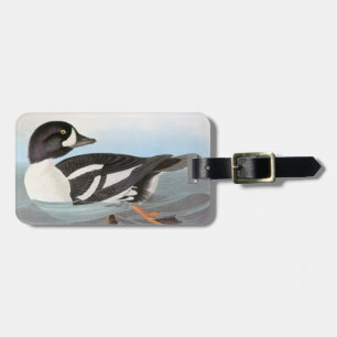 Étiquette À Bagage Audubon : Le Goldeneye de la brouette